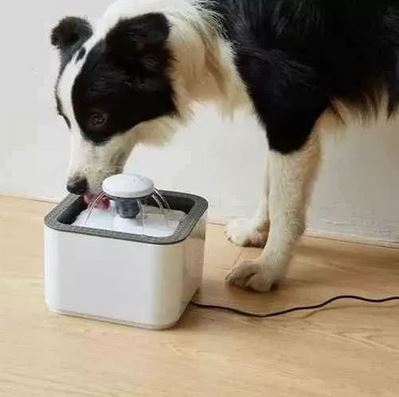 Dispensador Eléctrico de Agua para Mascotas 🐾💧🔋